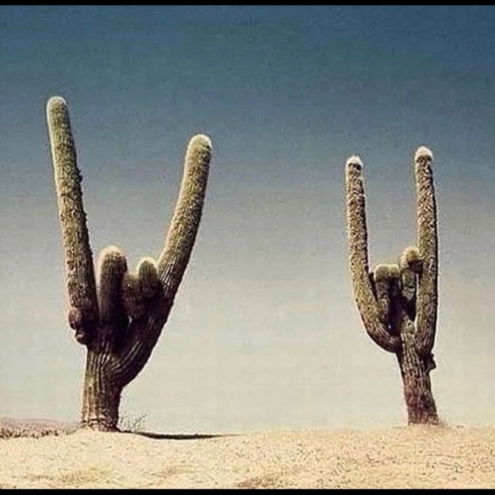 Meet your Posher, Tia